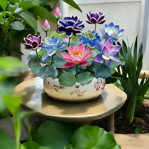 💮Sementes de Lótus Roxo Meia-Noite