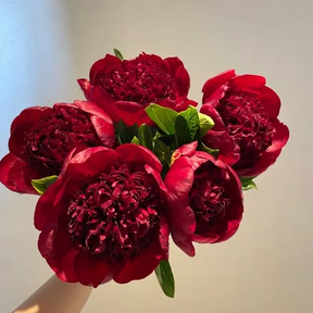 🌺A RAINHA DAS FLORES — PIANO DE PÉTALAS DUPLAS